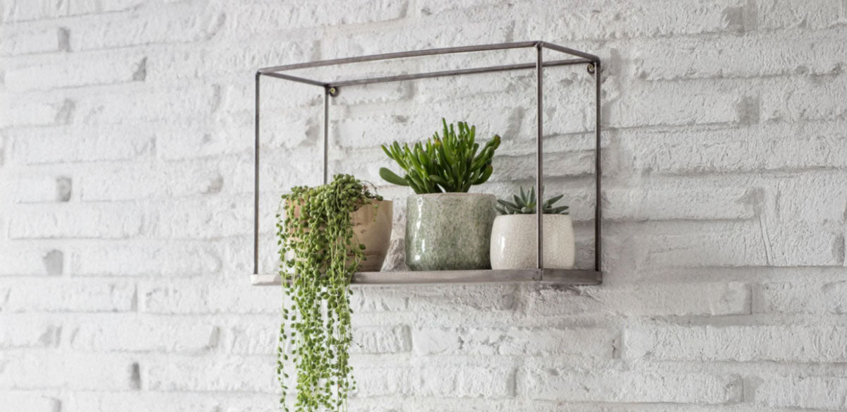 Wall Décor collection