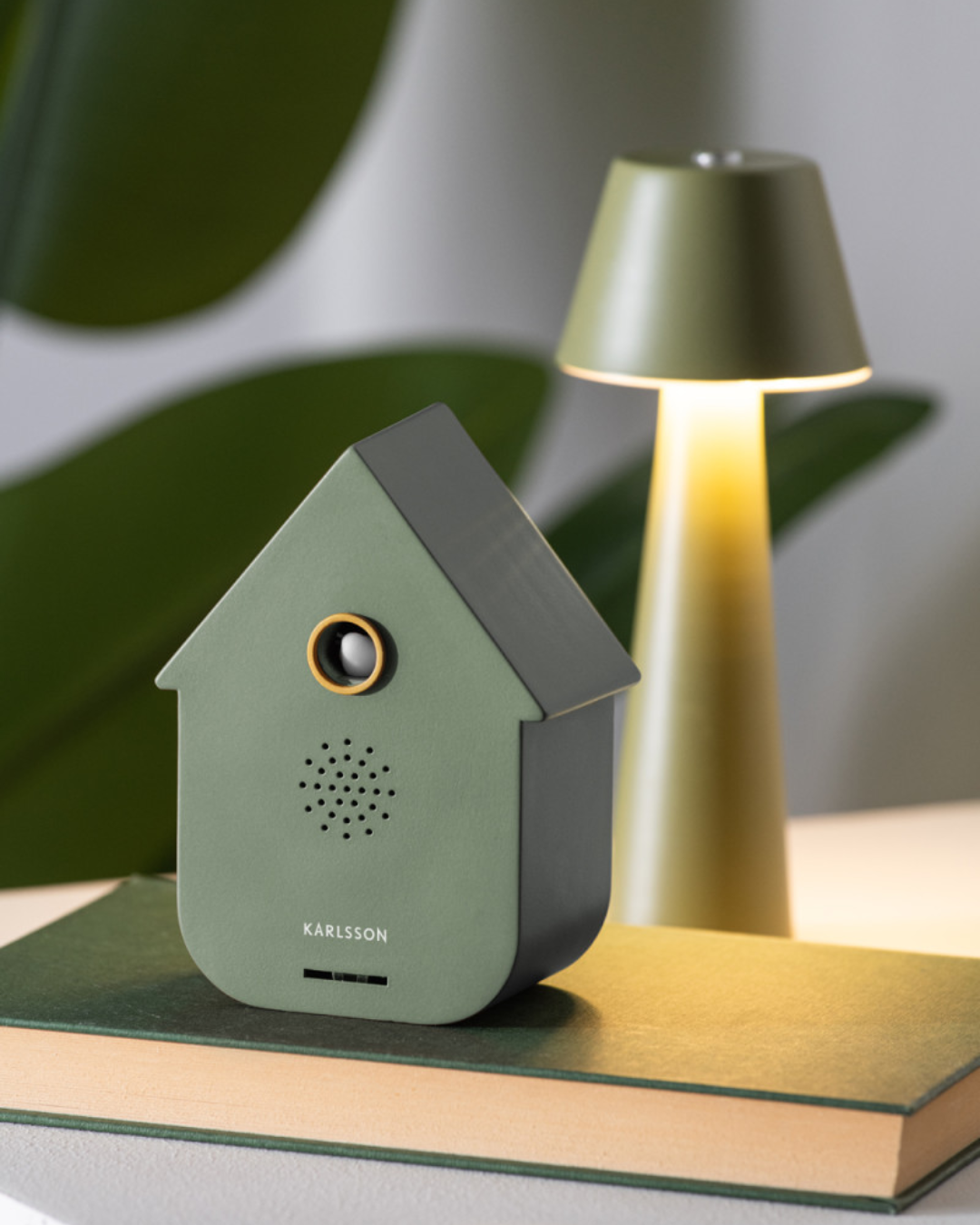 Modern Cuckoo Sound Box in 4 Colours