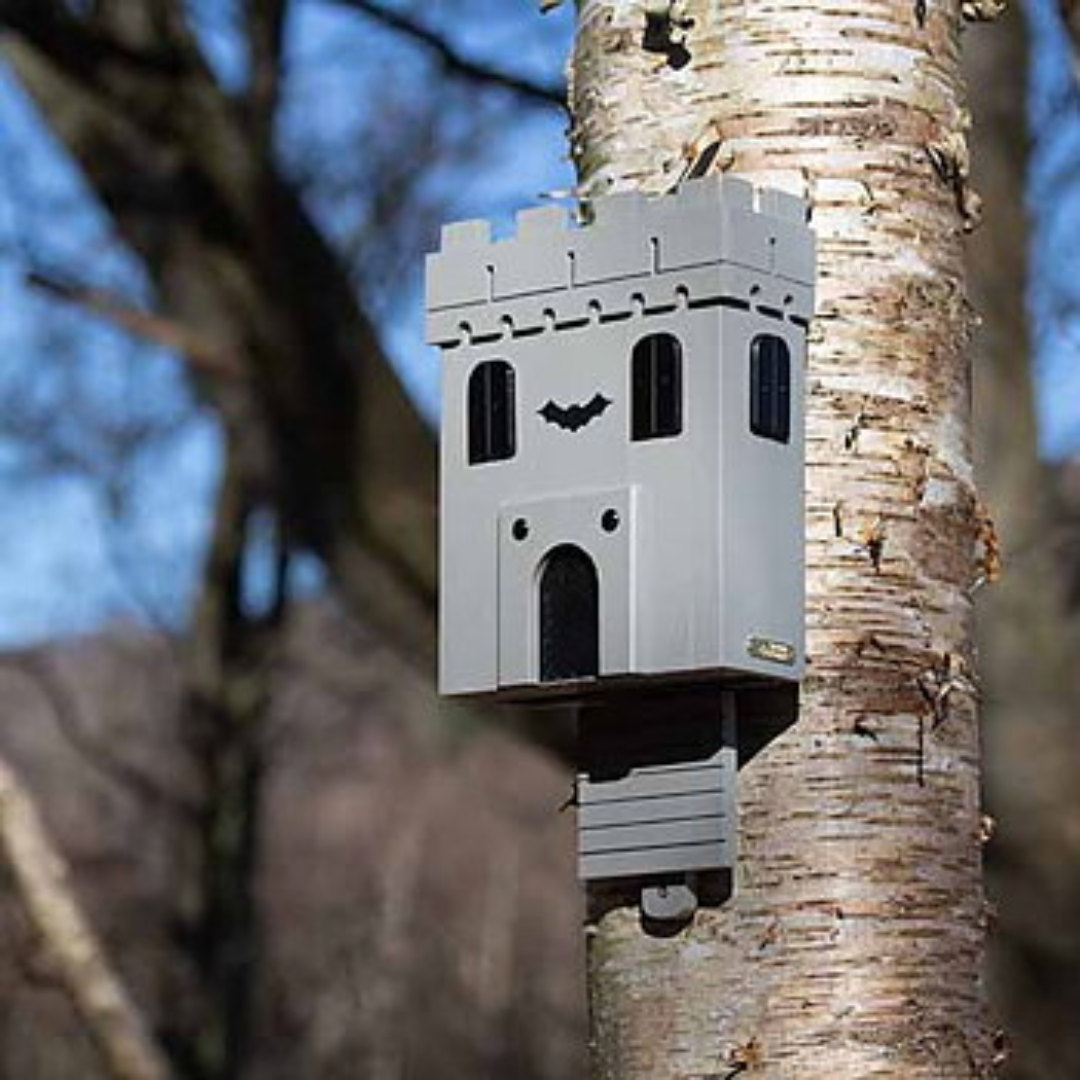 Bat Castle