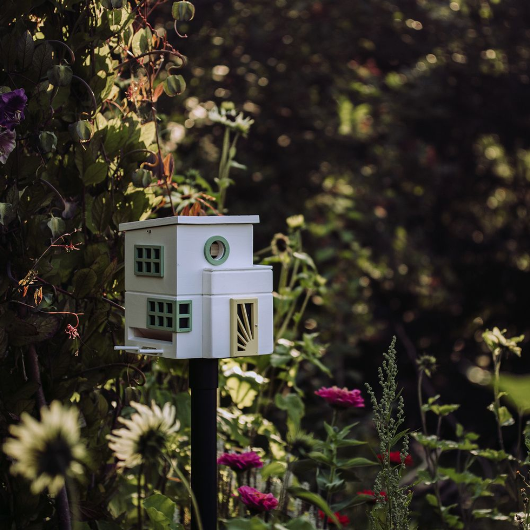 Flat Roof Dual Combo Bird Feeder & Nester in 2 Colours