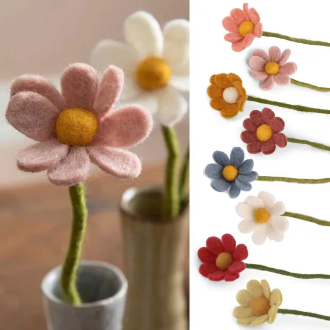 Anemone Flower in 3 Colours