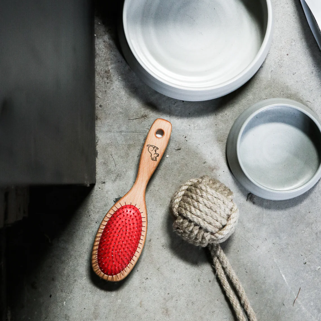 Dog Brush