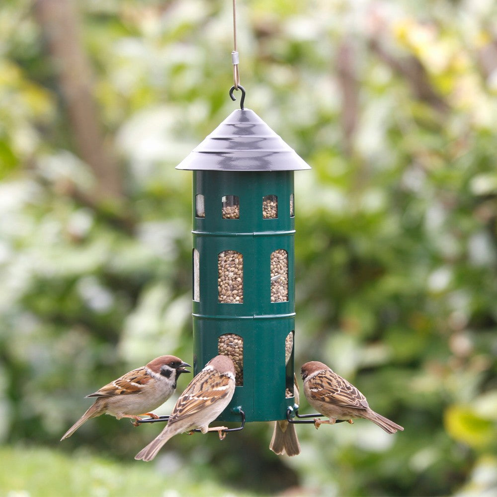 Seed and Suet Ball Feeders in Red or Green