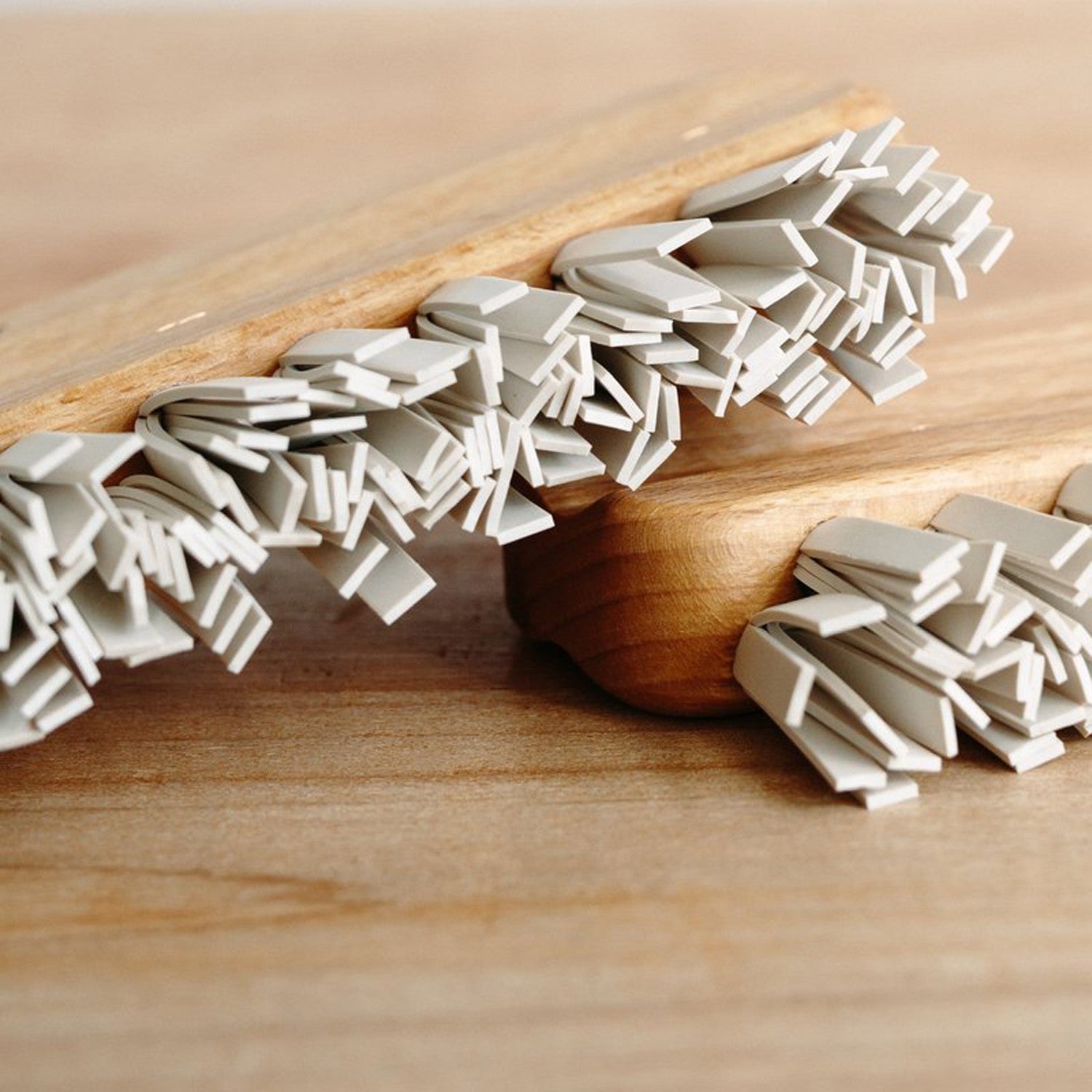 Lint brush and pet hair remover brush