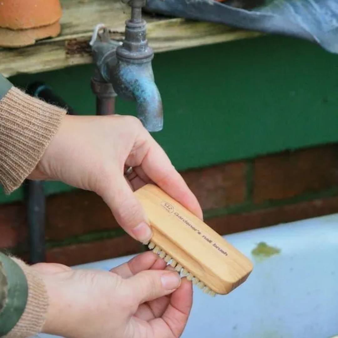 Gardeners Nail Brush