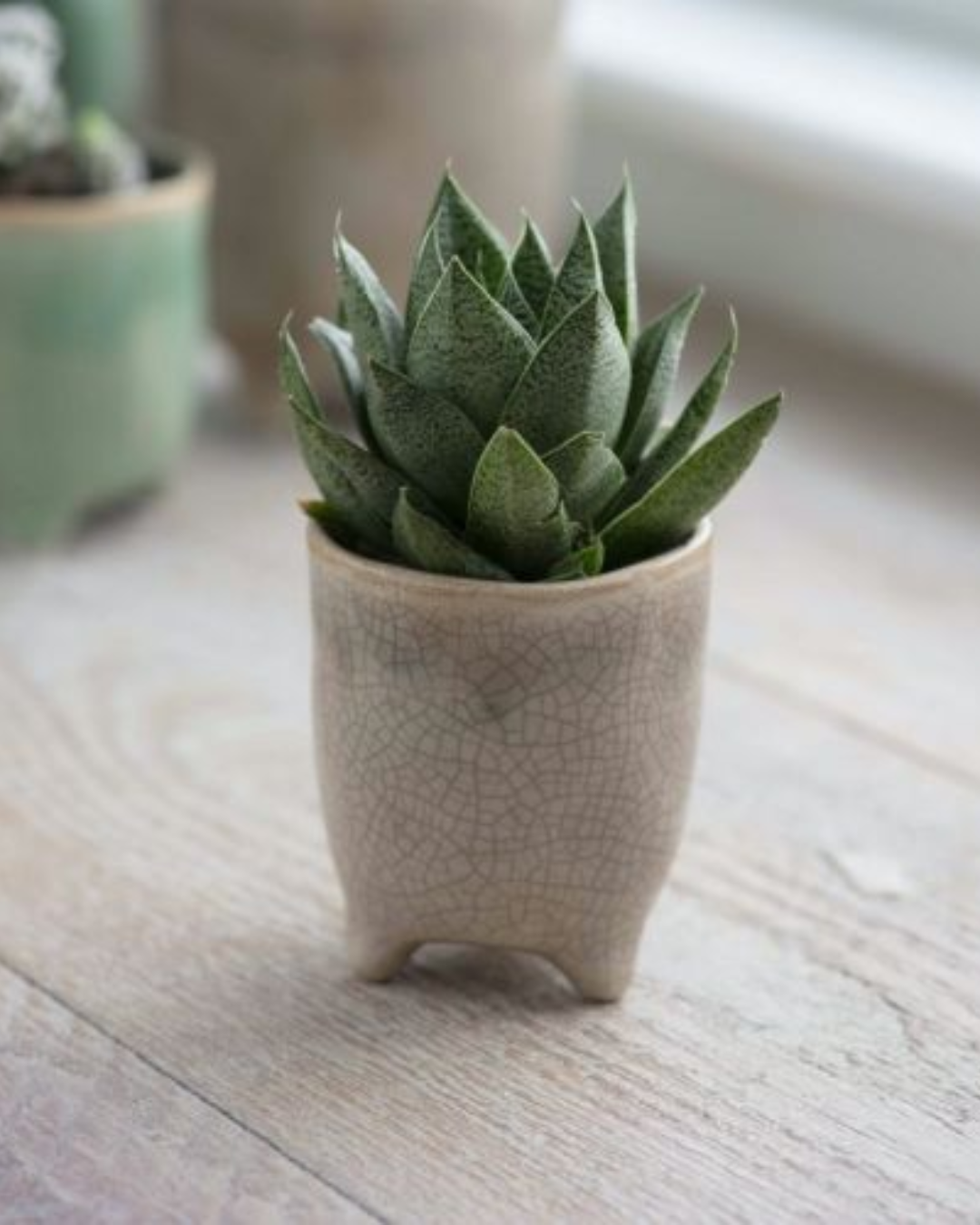 Stone Ceramic Plant Pot in 3 Sizes