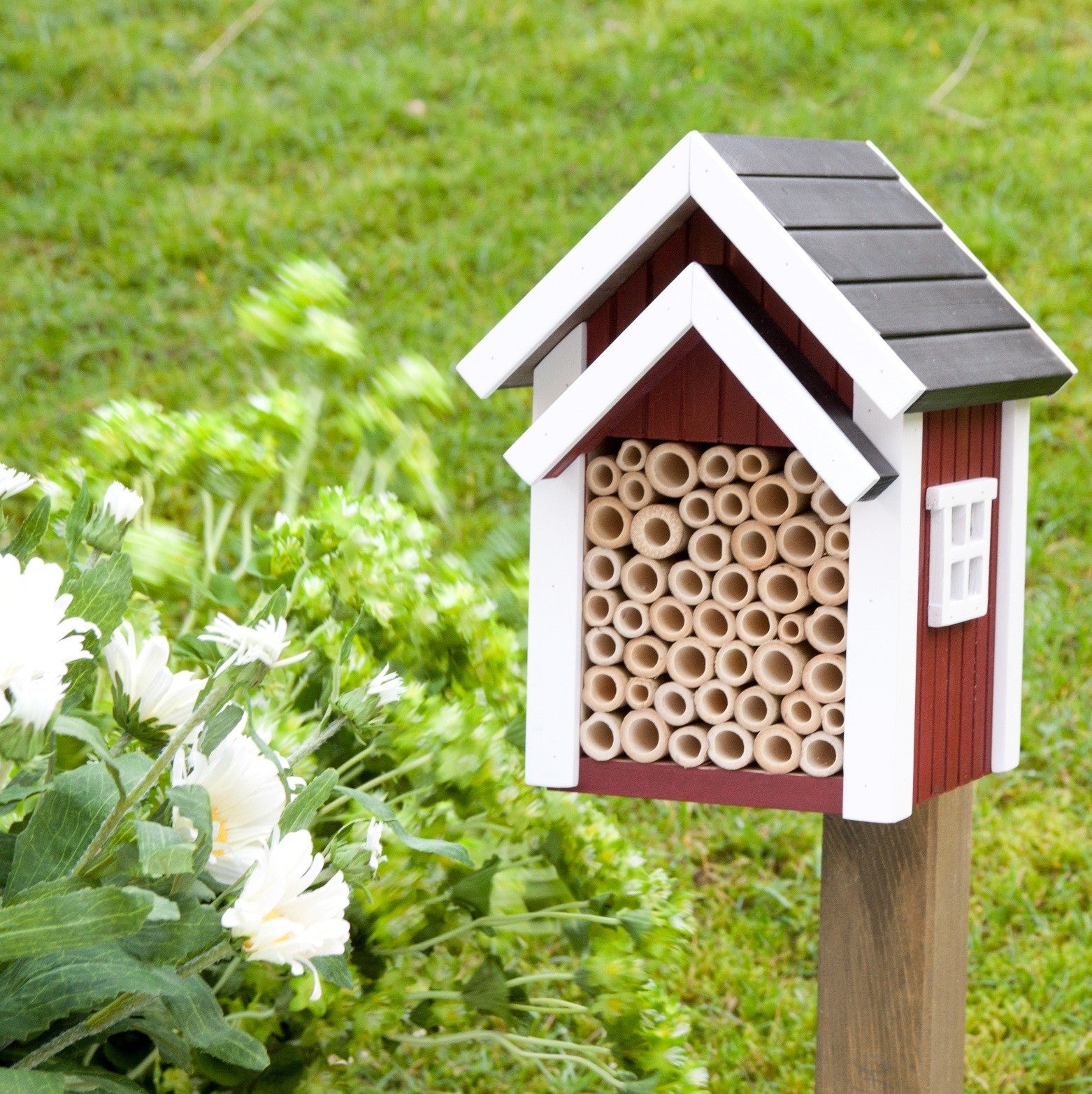 Solo Bee House