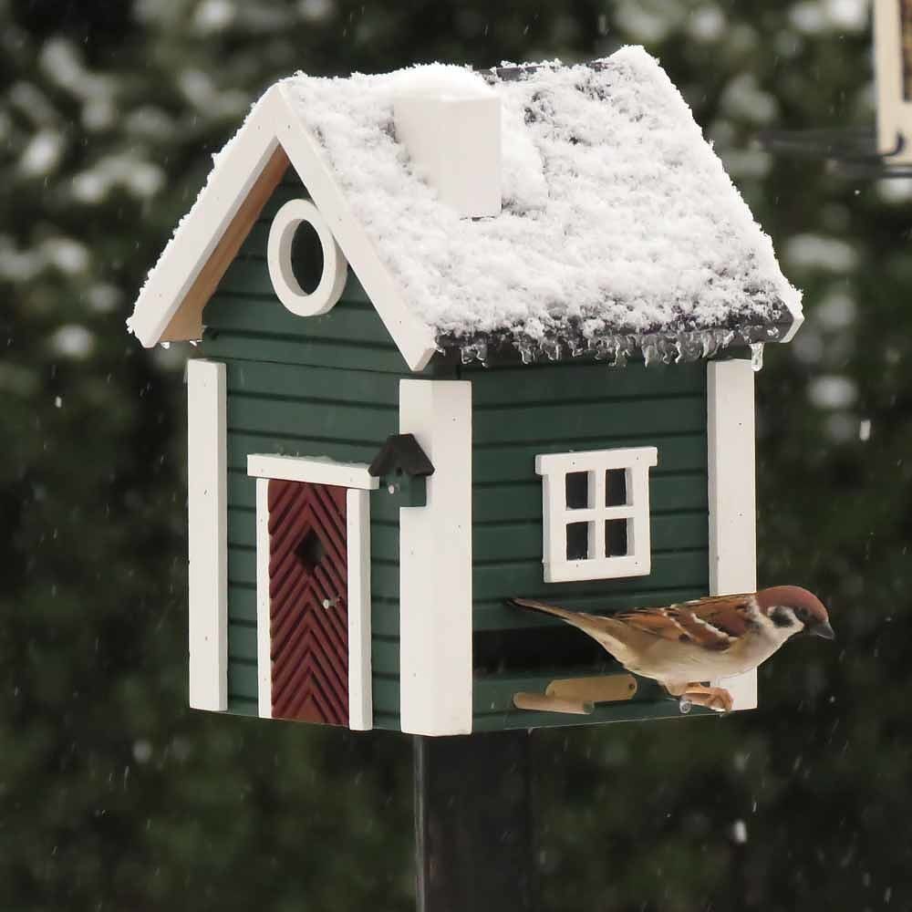 Dark Green Bird Feeder and Nesting Box