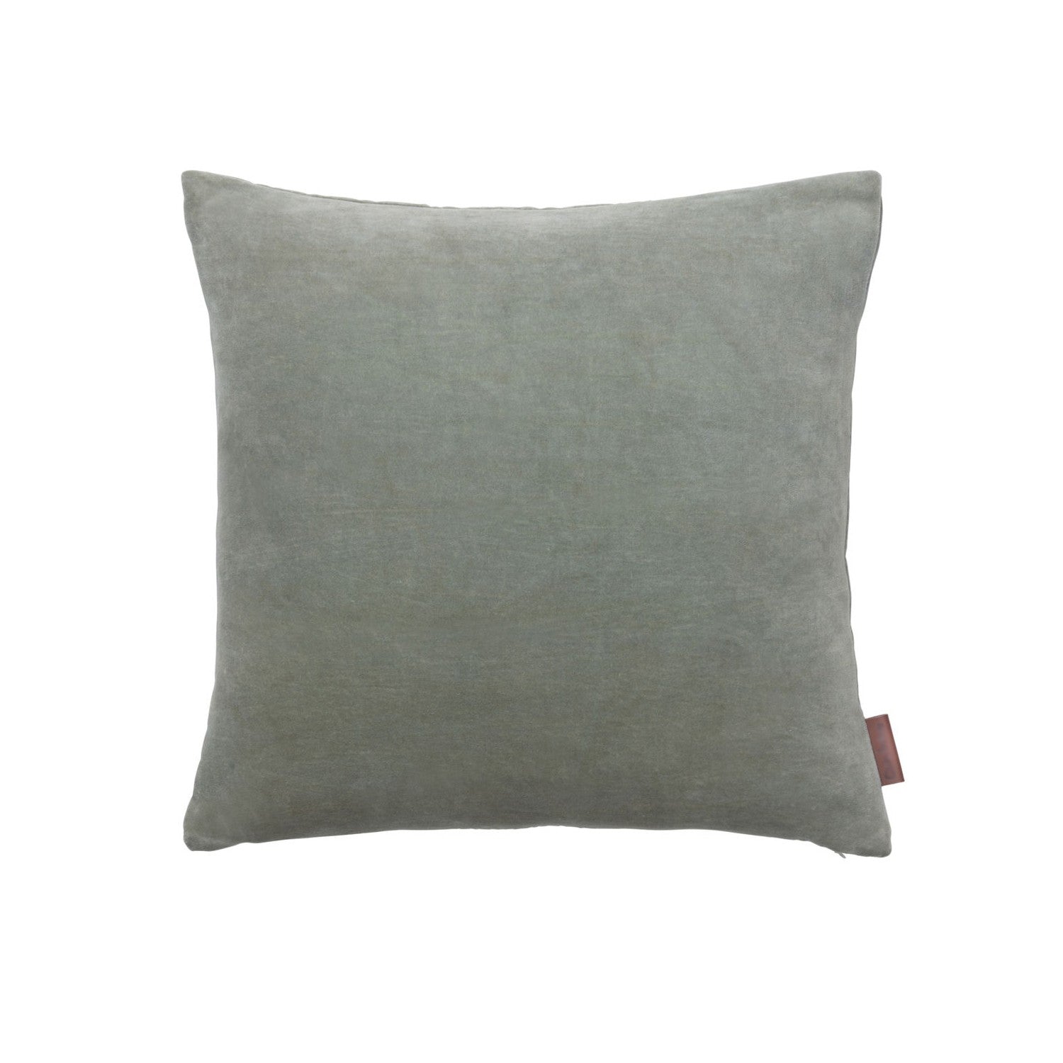 Seagrass Green Velvet Cushion