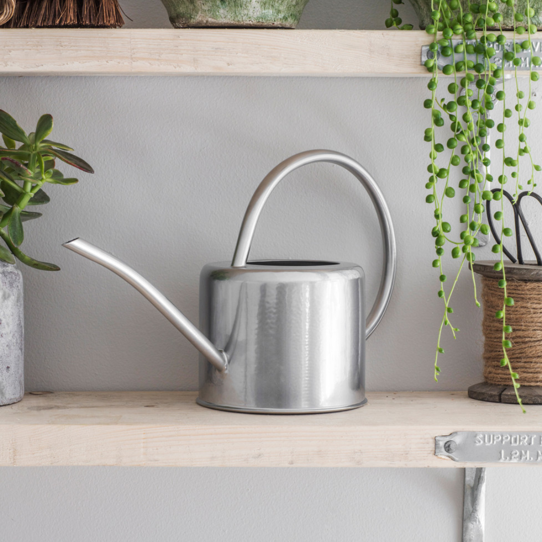 Steel Watering Can in 2 Sizes