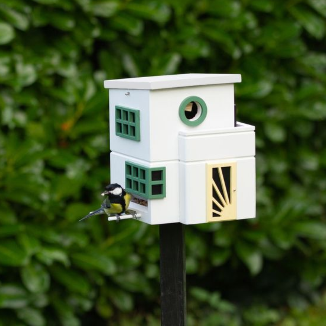 Flat Roof Dual Combo Bird Feeder & Nester in 2 Colours