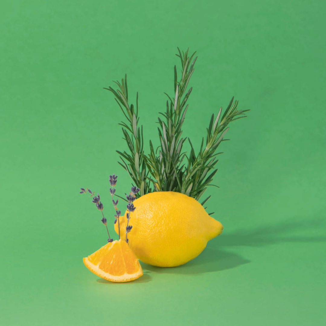 Hand and Body Cream in 2 Scents