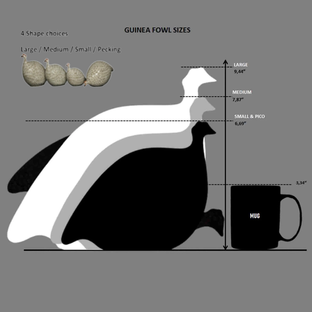 Matt Grey Speckled White Guinea Fowl