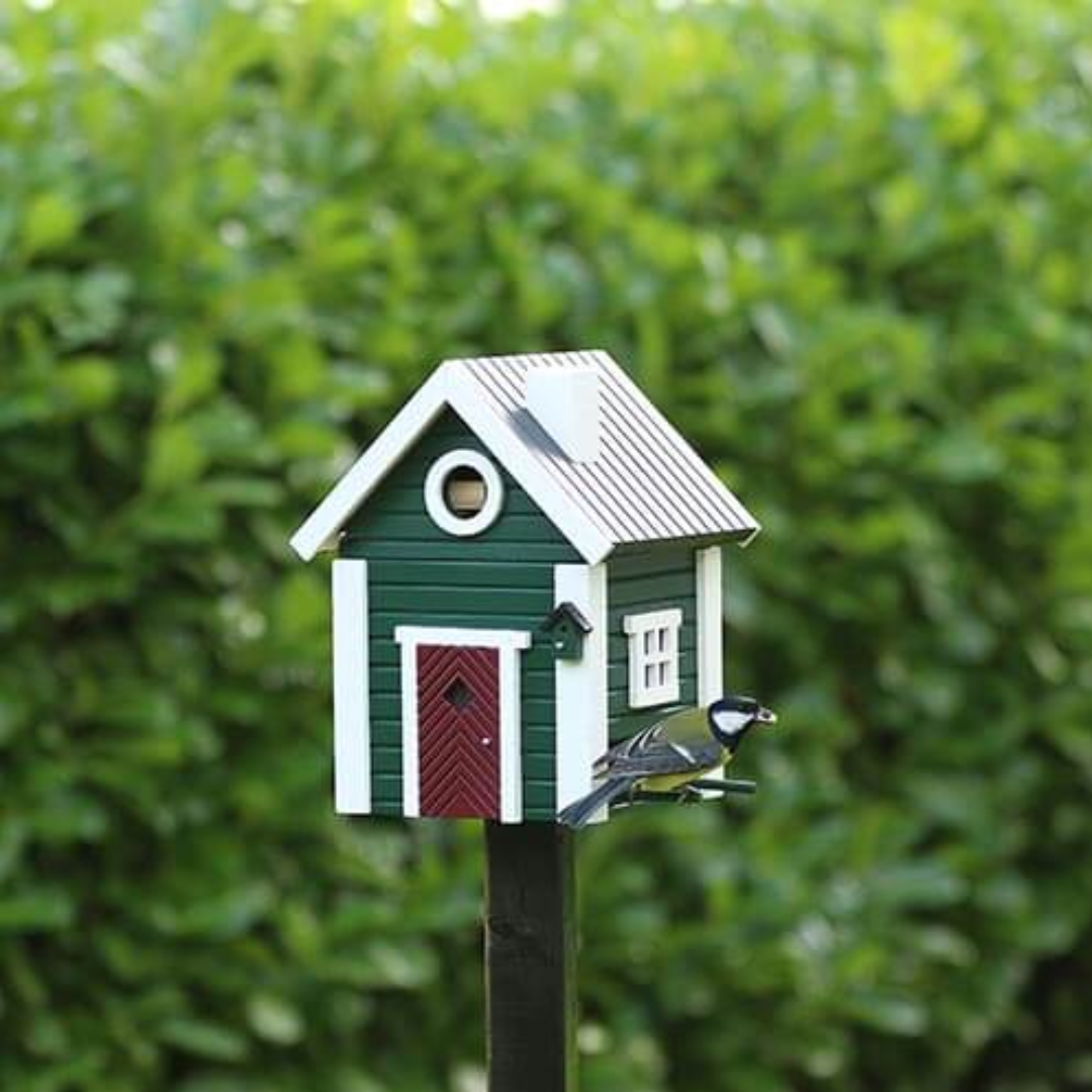 Dual Combo Bird Feeder & Nester in 6 Solid Colours