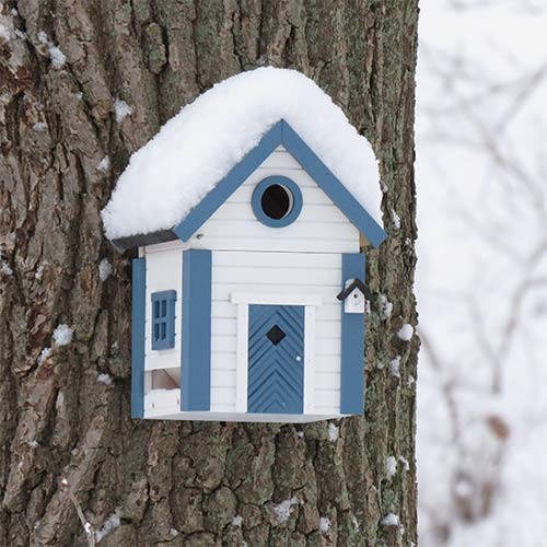 Blue & White Cottage Bird Feeder & Nesting Box