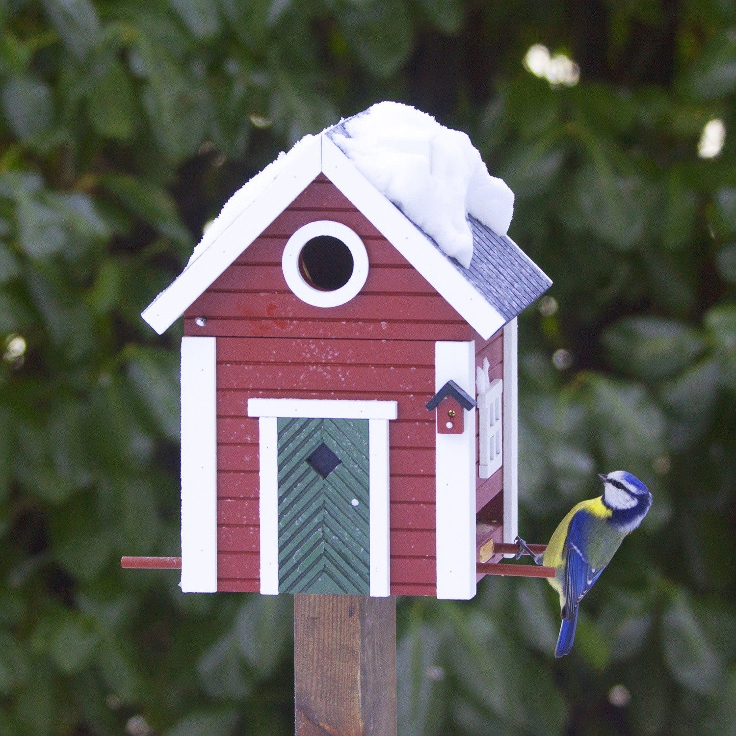 Red Bird Feeder and Nesting Box