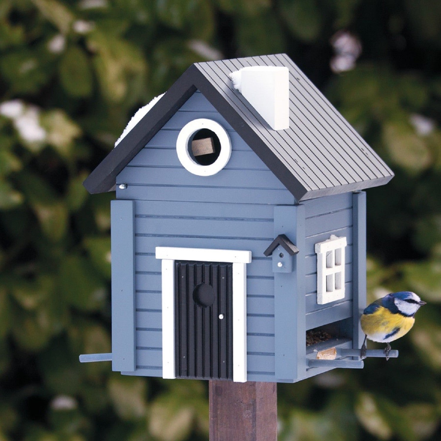 Solid Blue Bird Feeder and Nesting Box