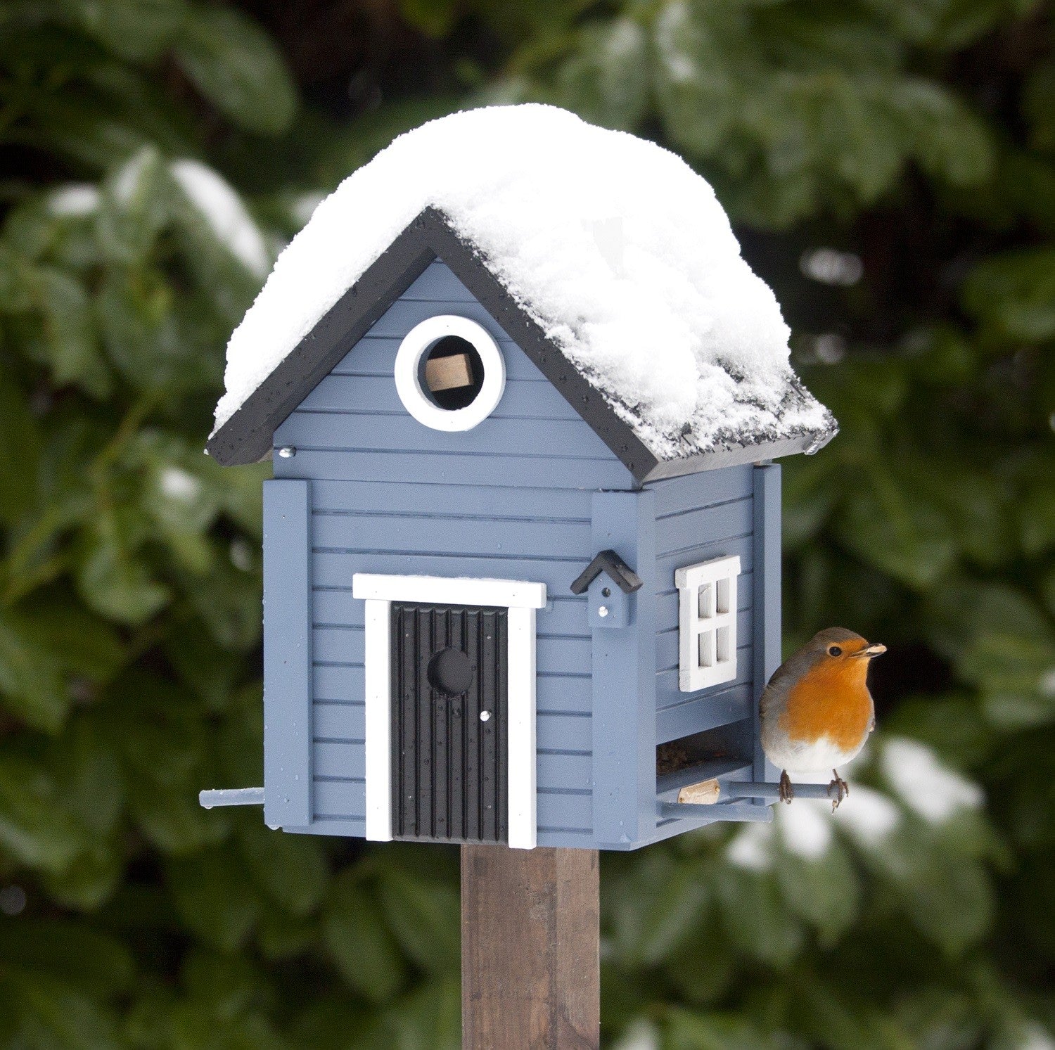 Solid Blue Bird Feeder and Nesting Box