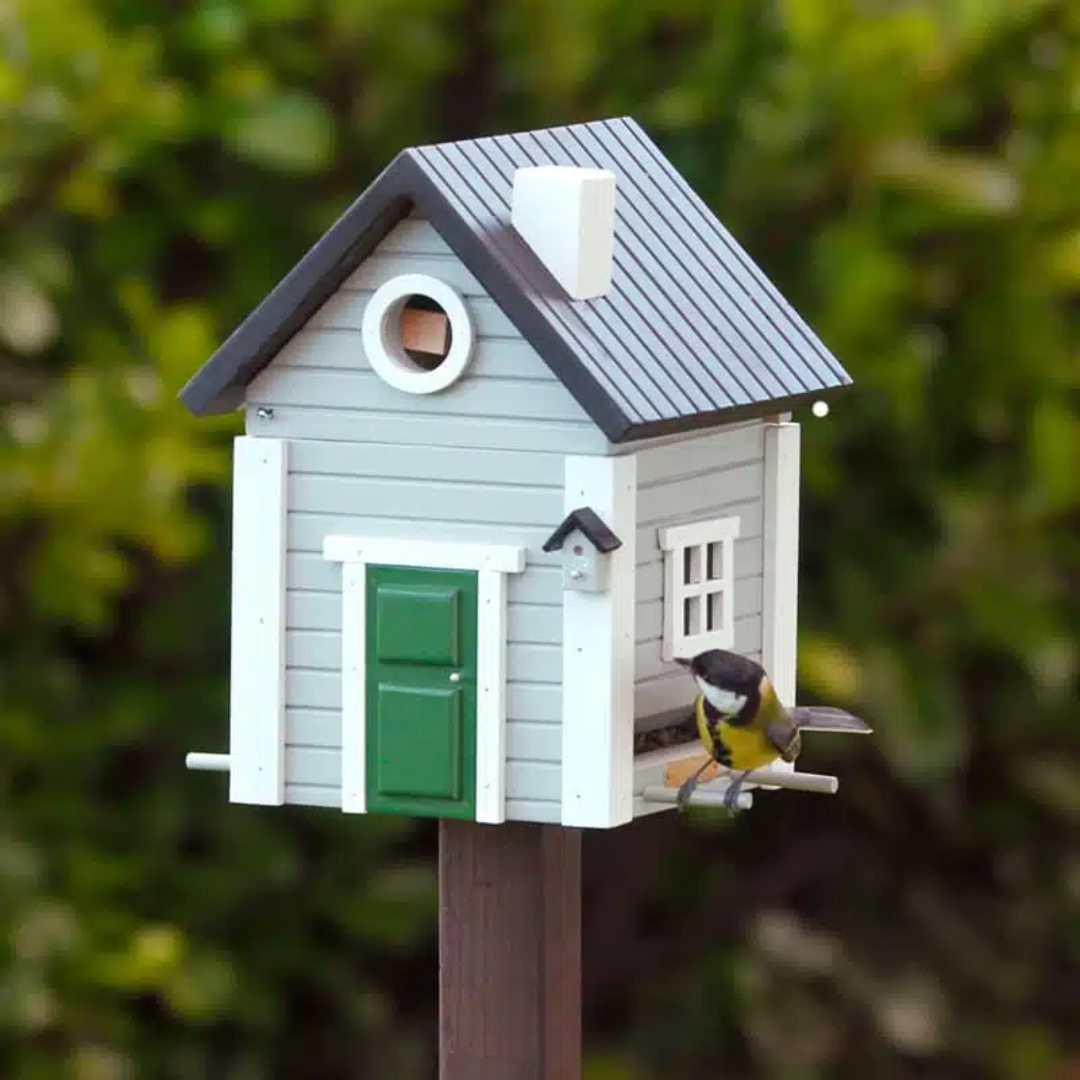 Dual Combo Bird Feeder & Nester in 6 Solid Colours