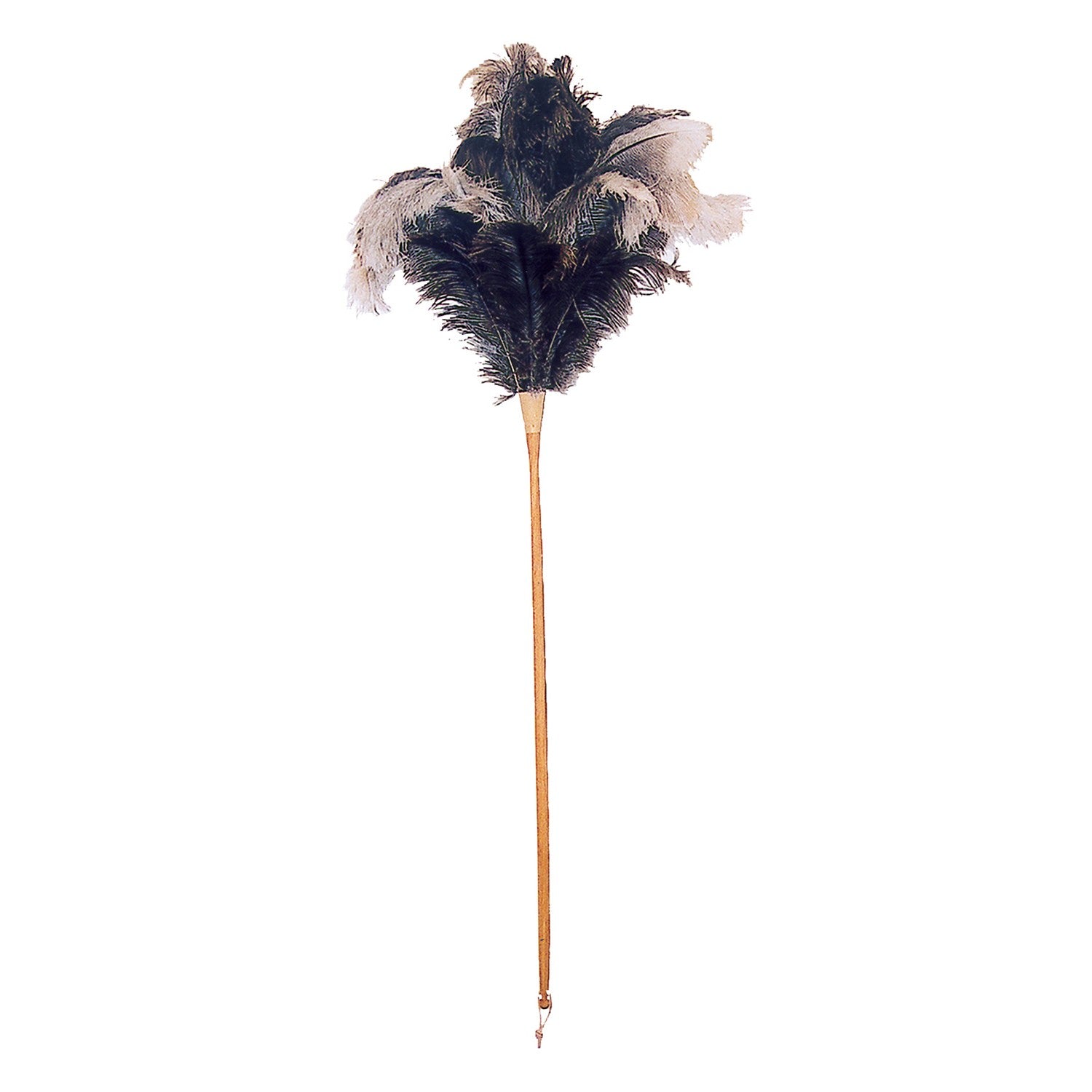 Medium Ostrich Feather Duster