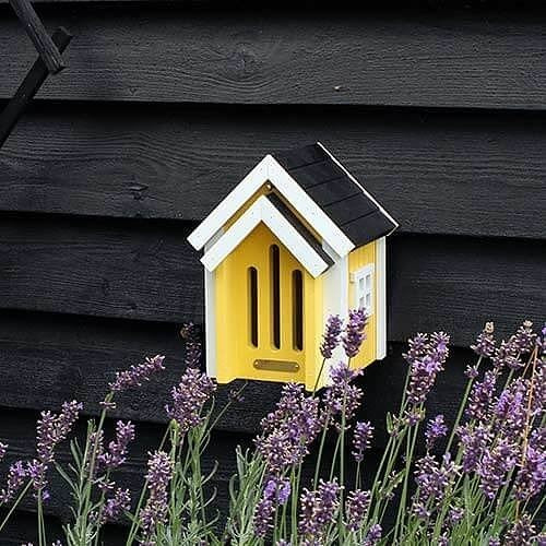 Yellow Butterfly Hibernation Box