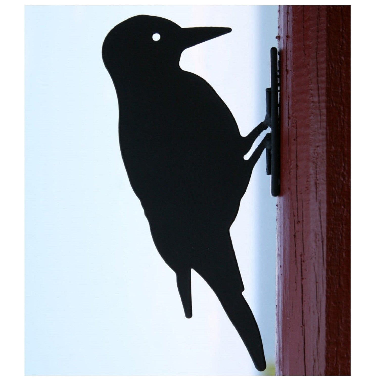 Woodpecker Silhouette