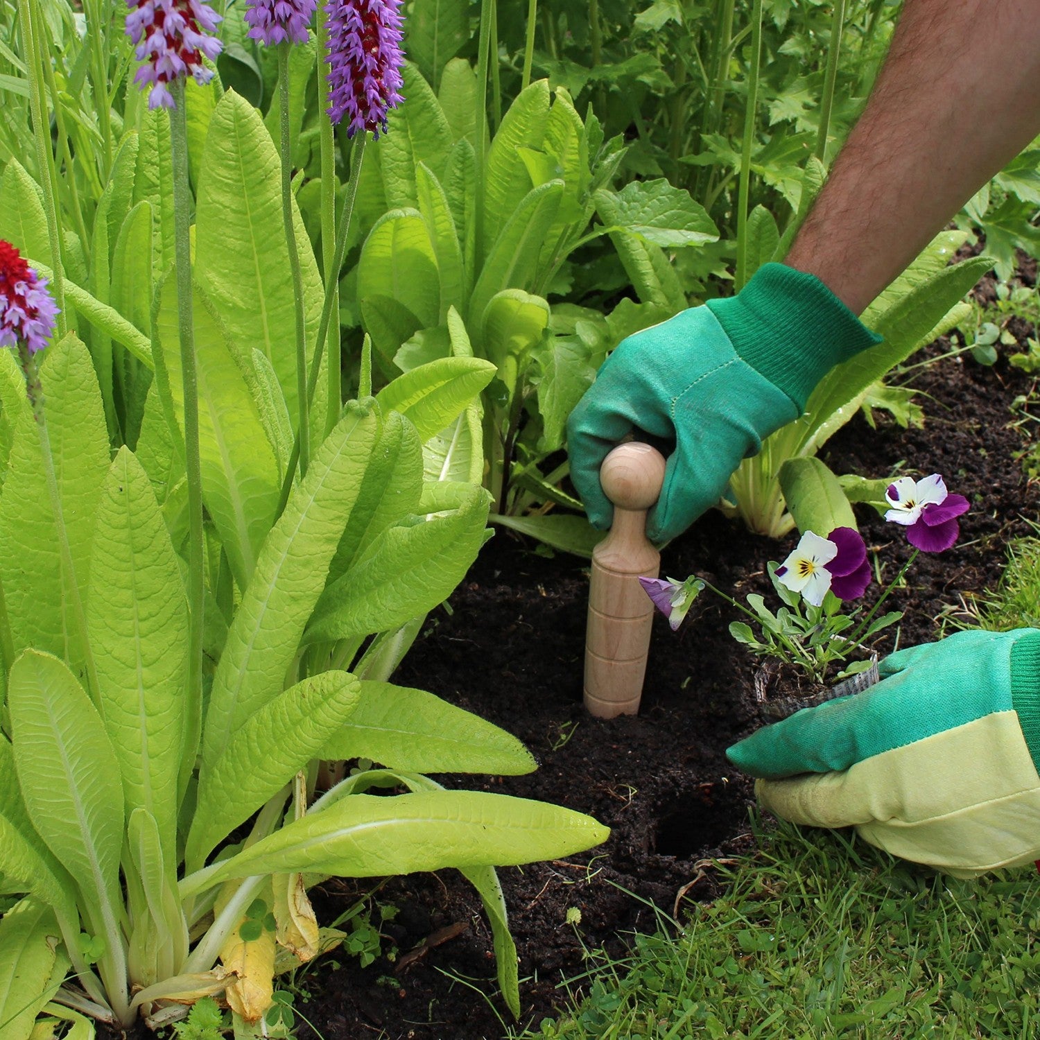 Plant Dibber - Garden Tools
