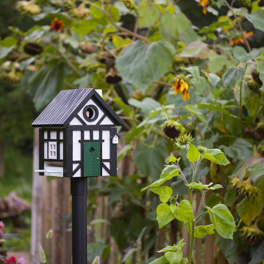 Two-Toned Dual Combo Bird Feeder & Nester in 3 Colours