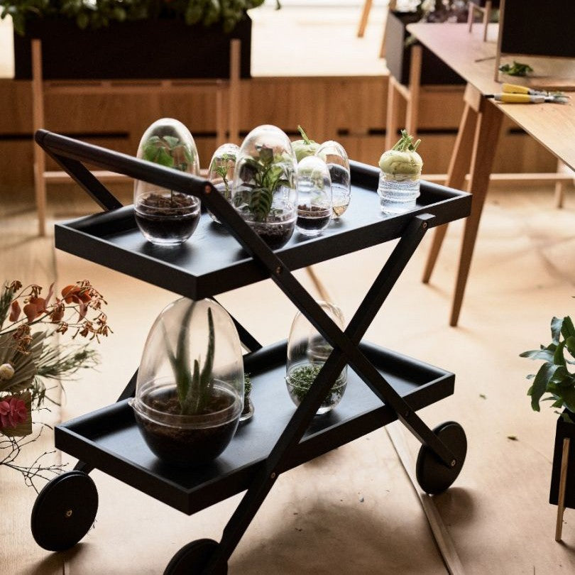 grow glass greenhouses from the blue door