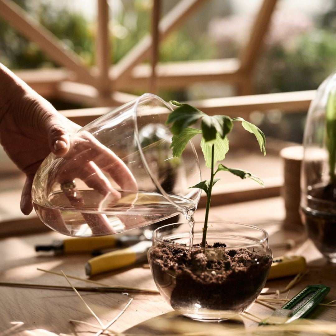 Grow Greenhouse Large