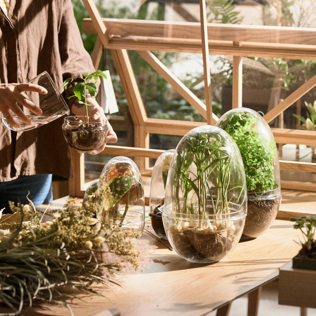 Grow Greenhouse Large