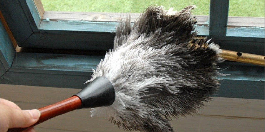made with ostrich feathers eco friendly home cleaning essentials