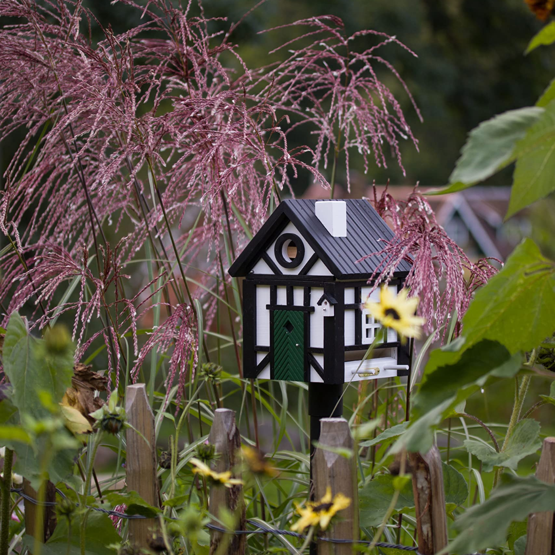 Two-Toned Dual Combo Bird Feeder & Nester in 3 Colours