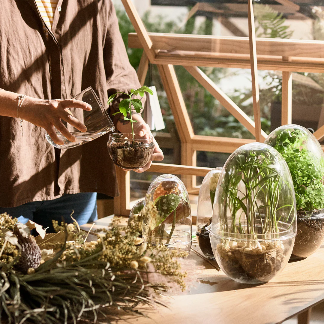 Glass Terrarium in 2 Sizes