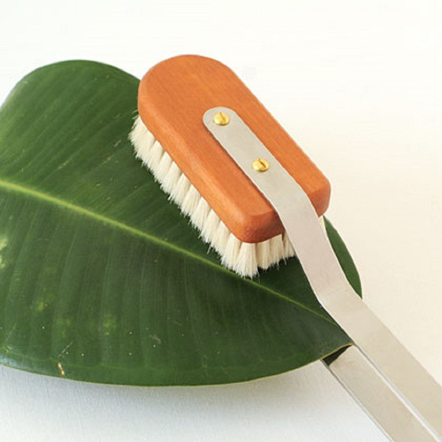 A timber brush to clean your indoor plants