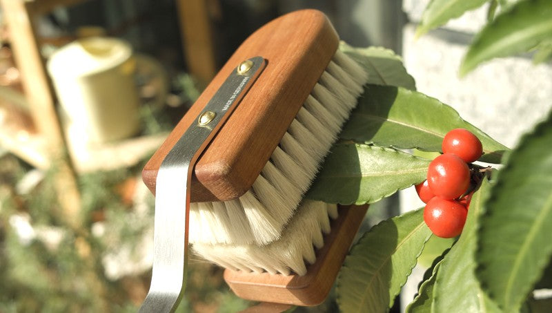 A brush for everything, indoor plant leaf brush