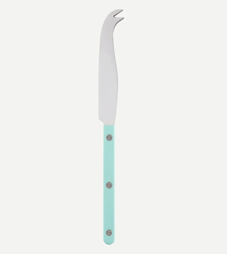 Cheese Knife in Pastel Green