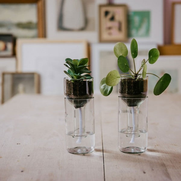 Self Watering Planter