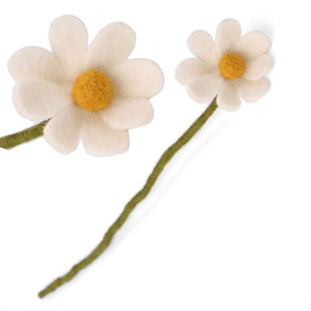 Anemone Flower in 3 Colours