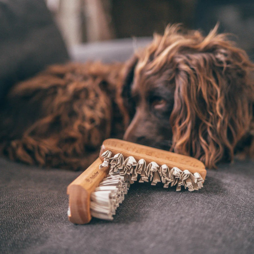 lint brush for pet owners