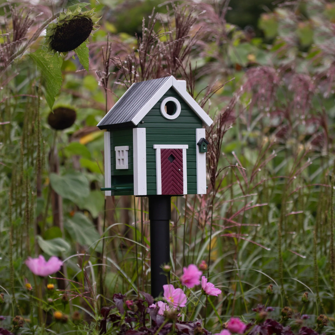 Dual Combo Bird Feeder & Nester in 6 Solid Colours
