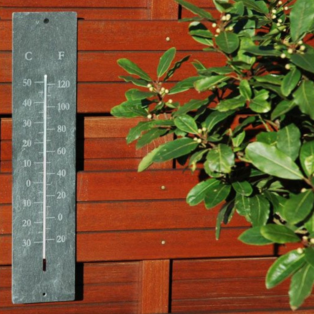 thermometer
