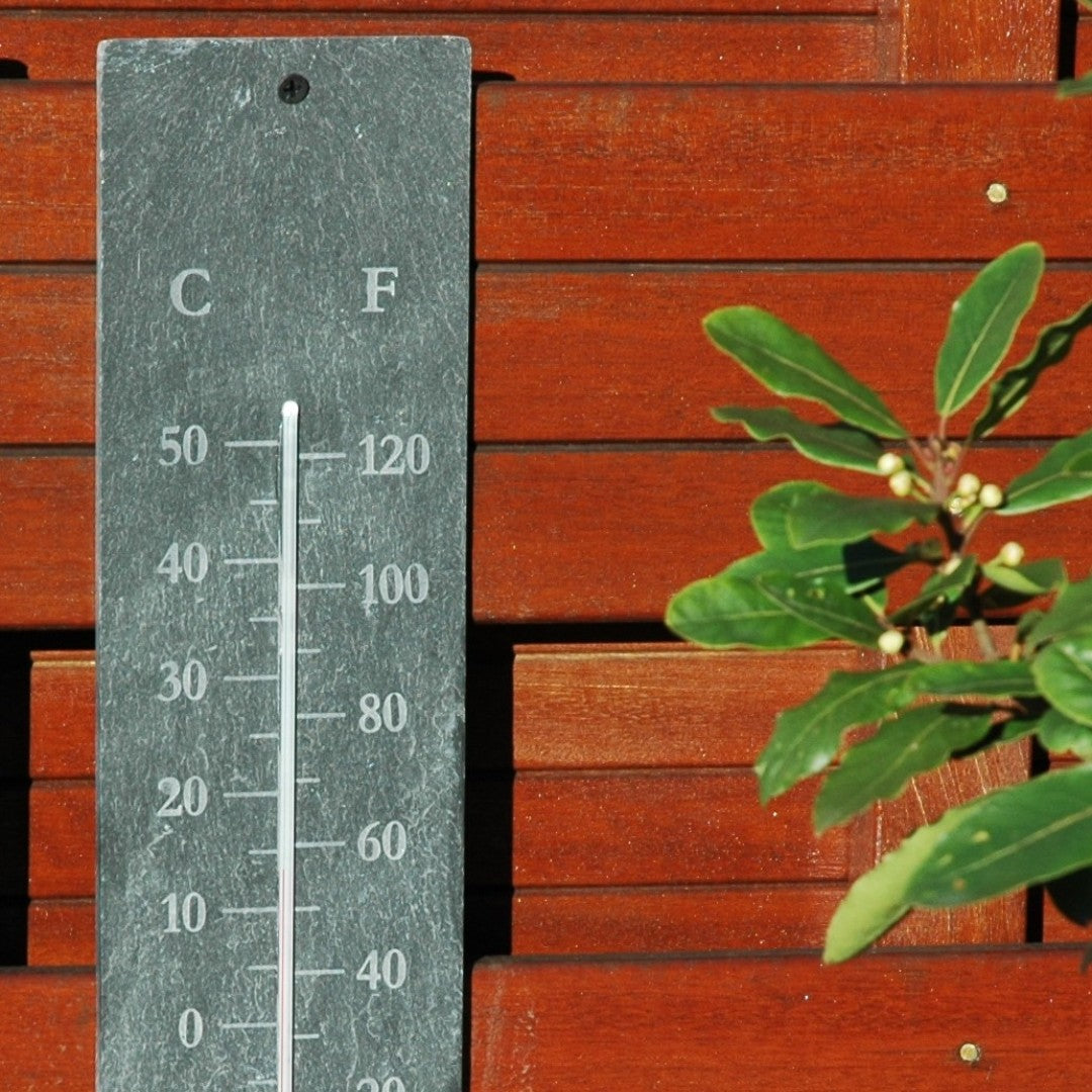 thermometer