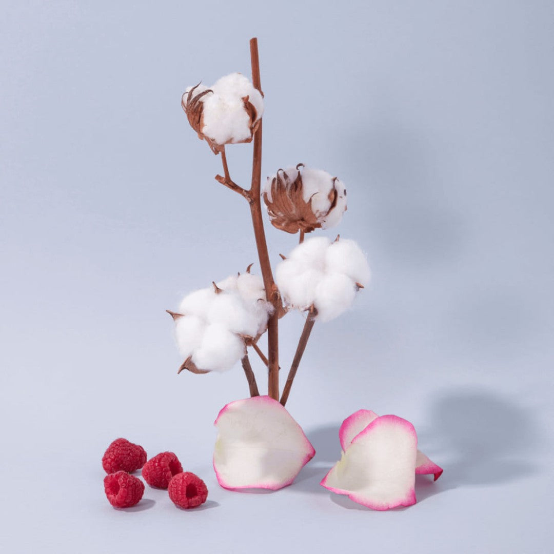 Hand and Body Lotion - Cotton Flower