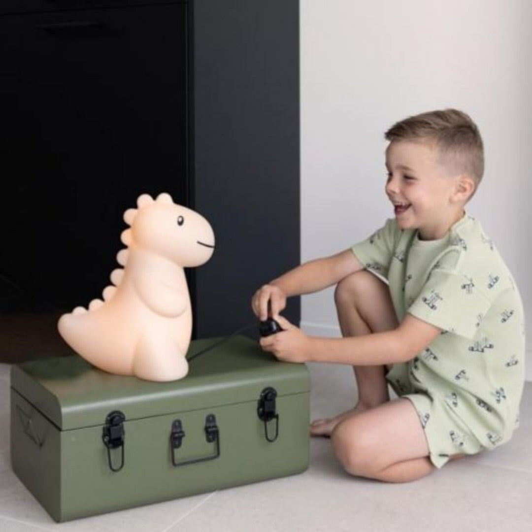Sand Dinosaur LED Night Light