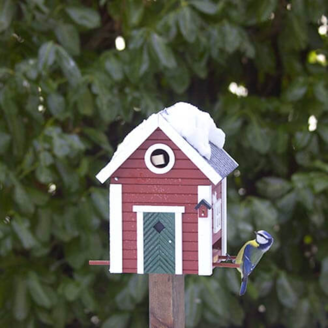 Dual Combo Bird Feeder & Nester in 6 Solid Colours