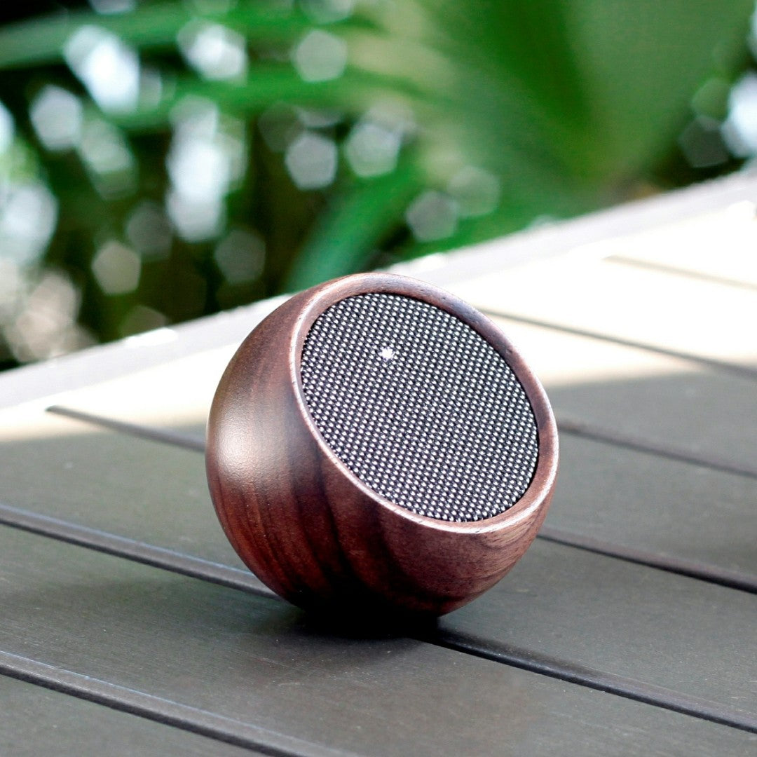 Walnut Bluetooth Selfie Speaker