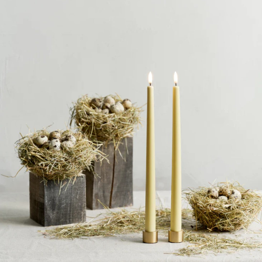 Pack od Two Taper Candleholders in Matte Brass