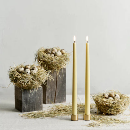 Pack od Two Taper Candleholders in Matte Brass