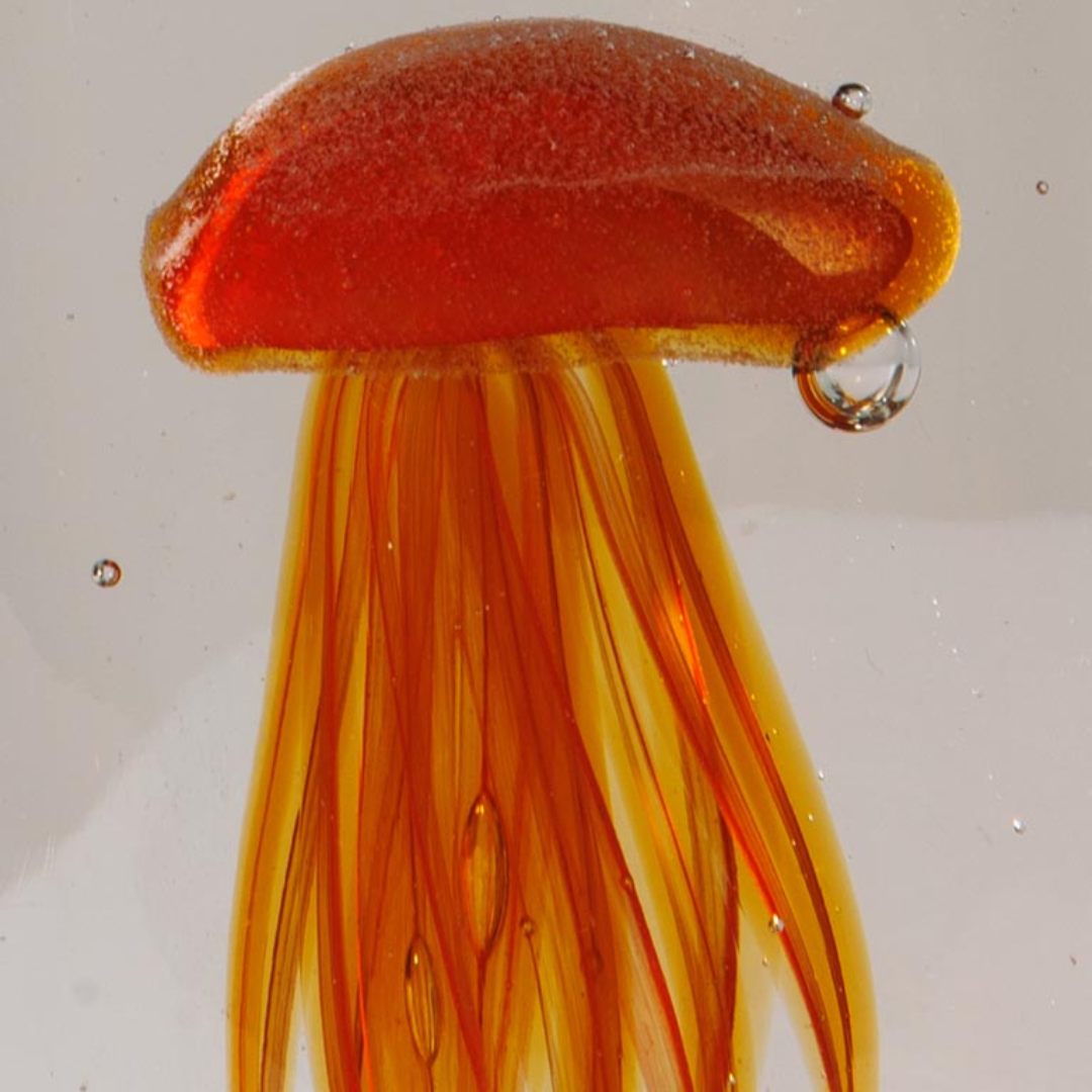 Glass Paperweight Jellyfish in 5 Colours